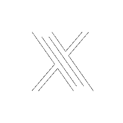 social network X logo